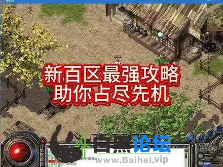 6.webp
