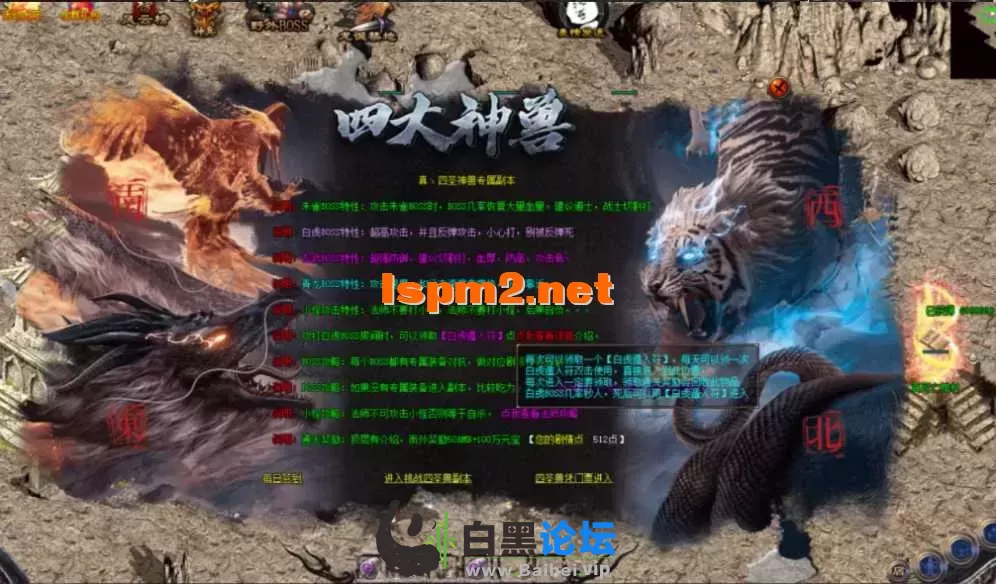 11.webp
