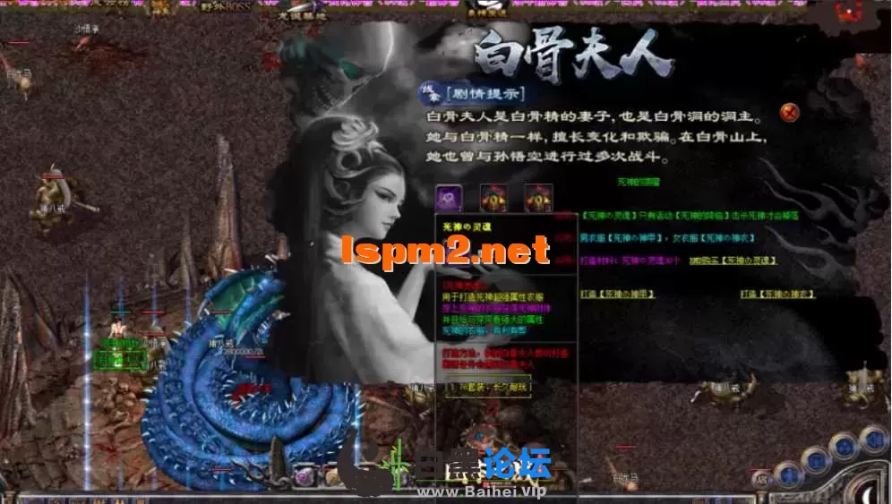 13.webp