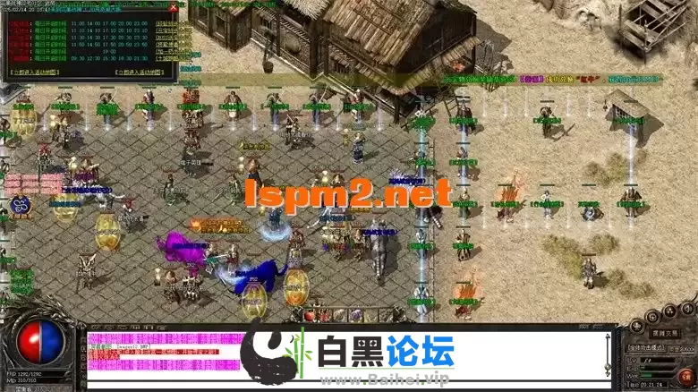 13.webp