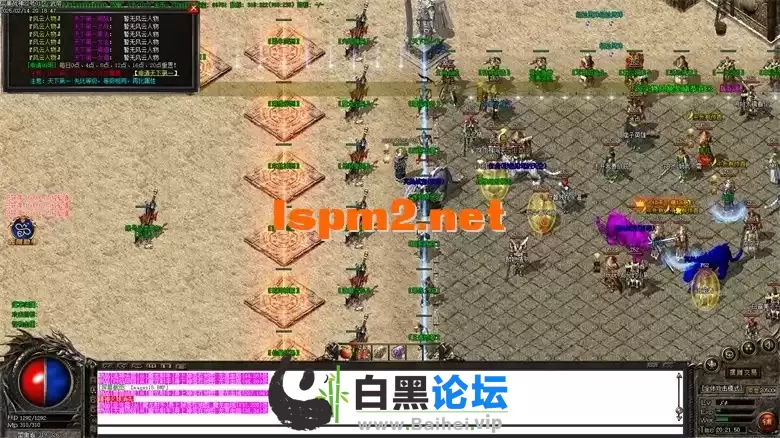 17.webp