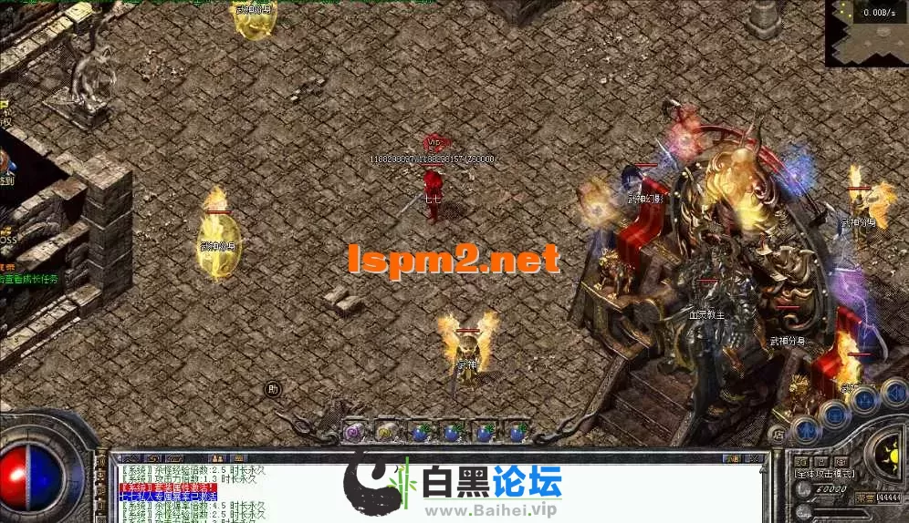 12.webp