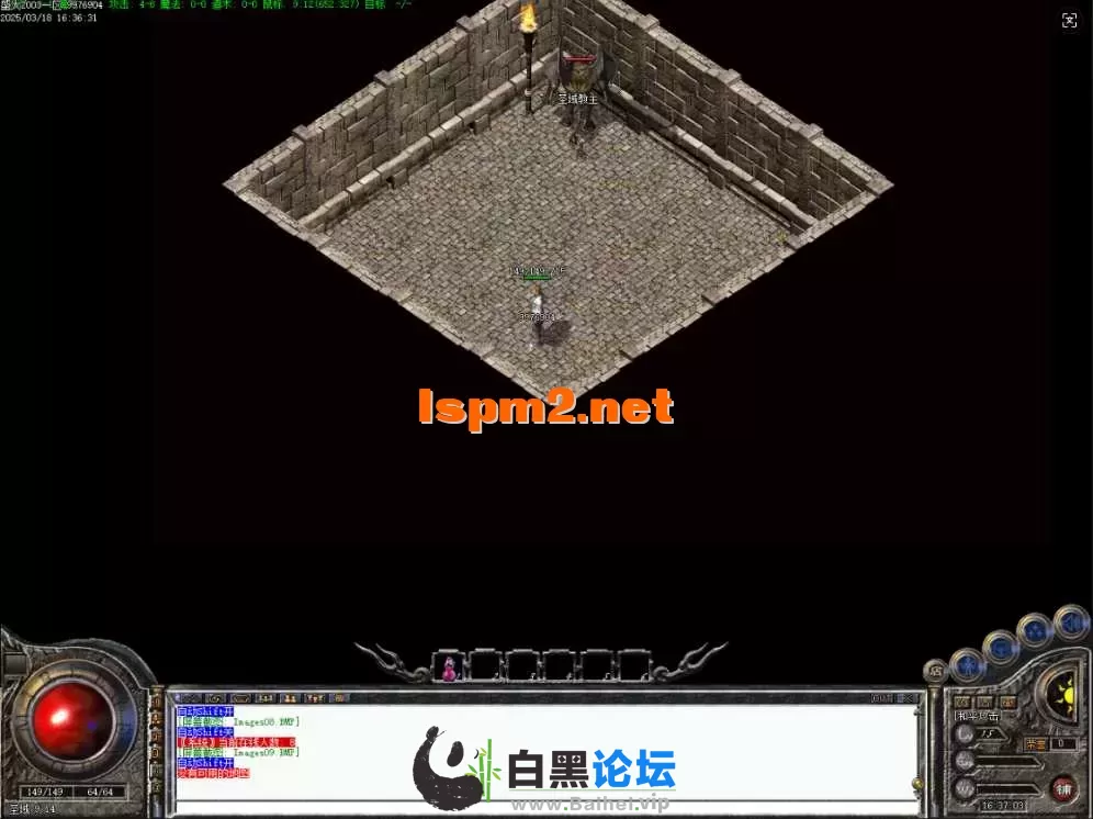 13.webp