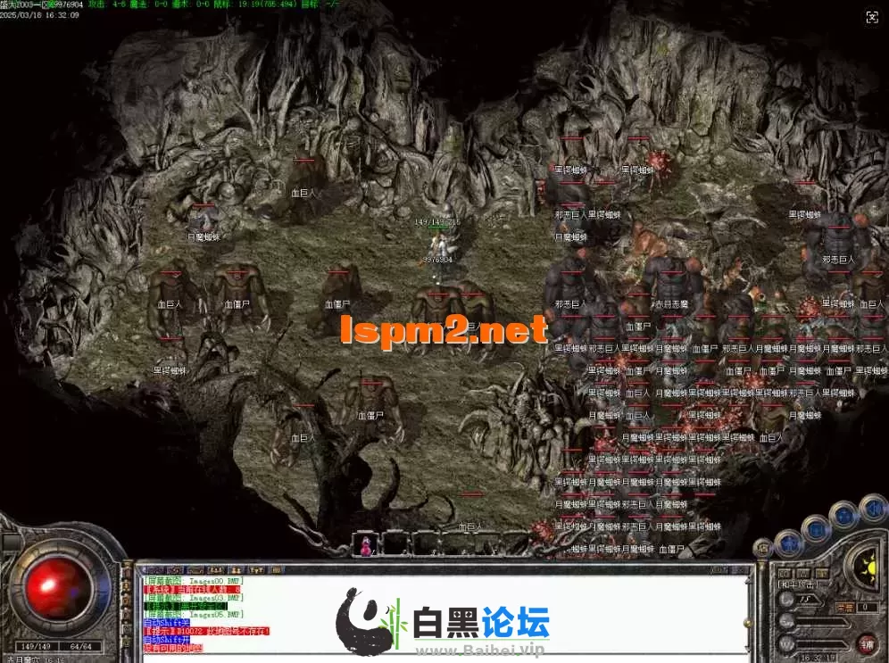 14.webp