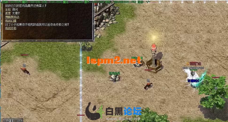 13.webp