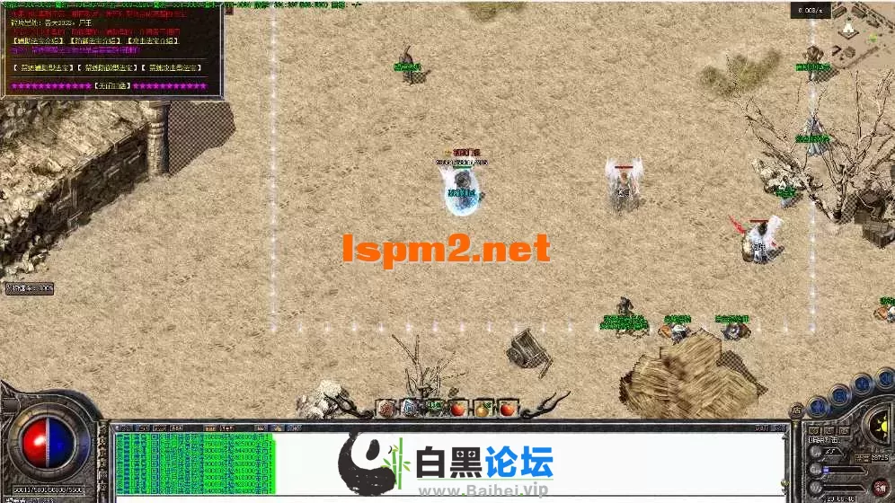 19.webp