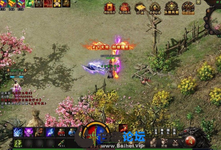5.jpeg