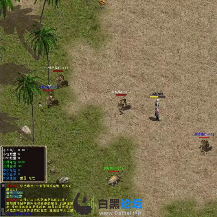 5.jpeg
