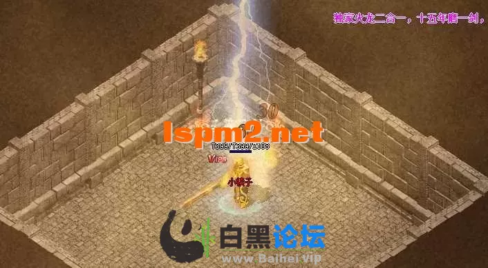 9.webp