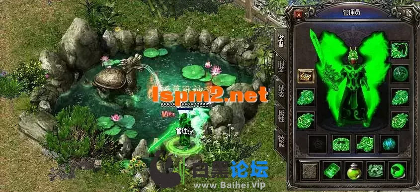 11.webp