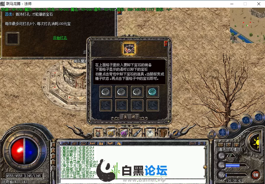 1.webp