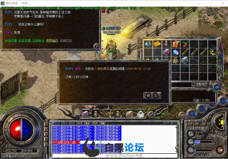 11.webp