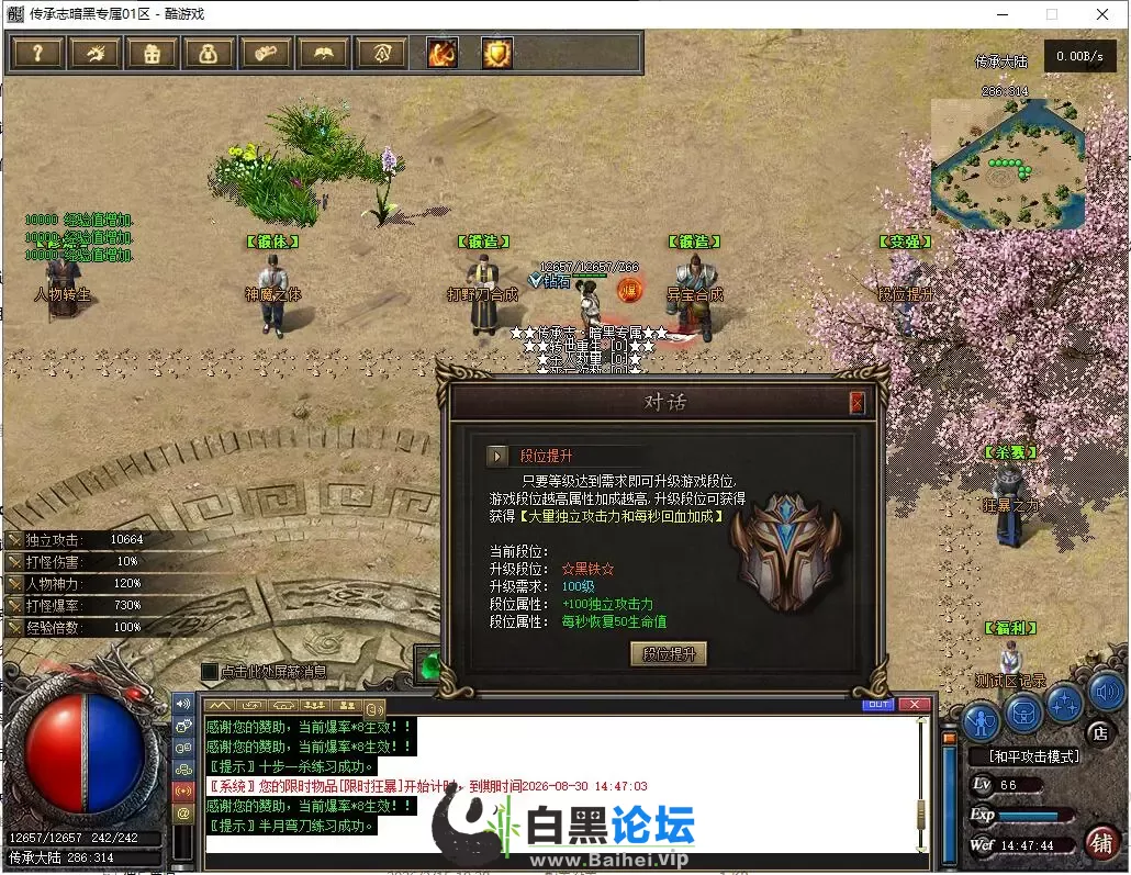 9.webp