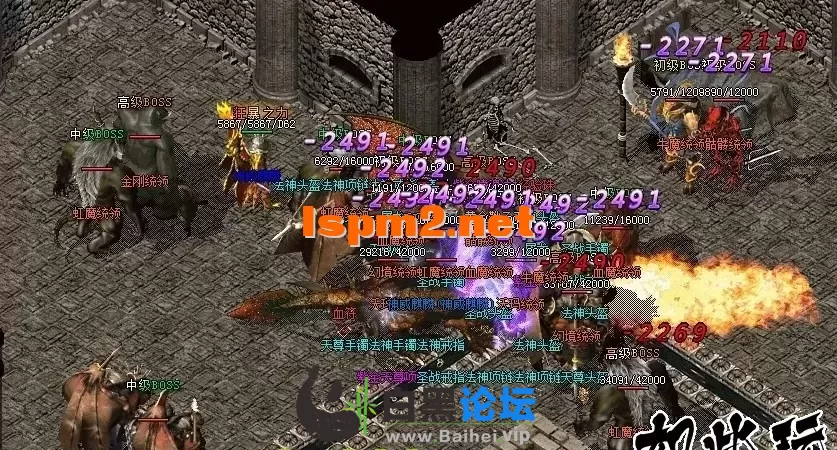 5.webp