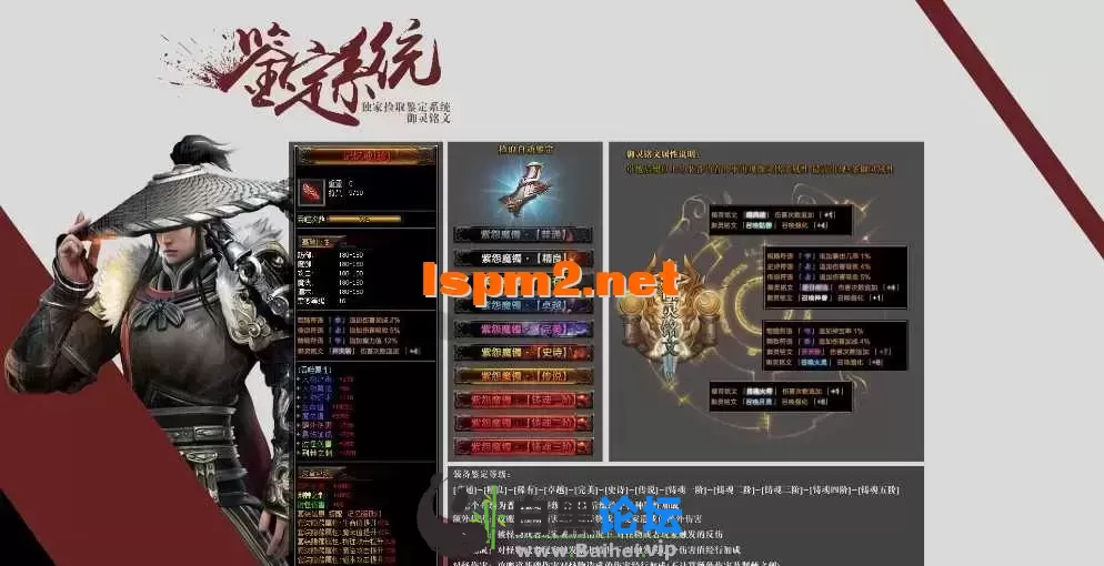 5.webp